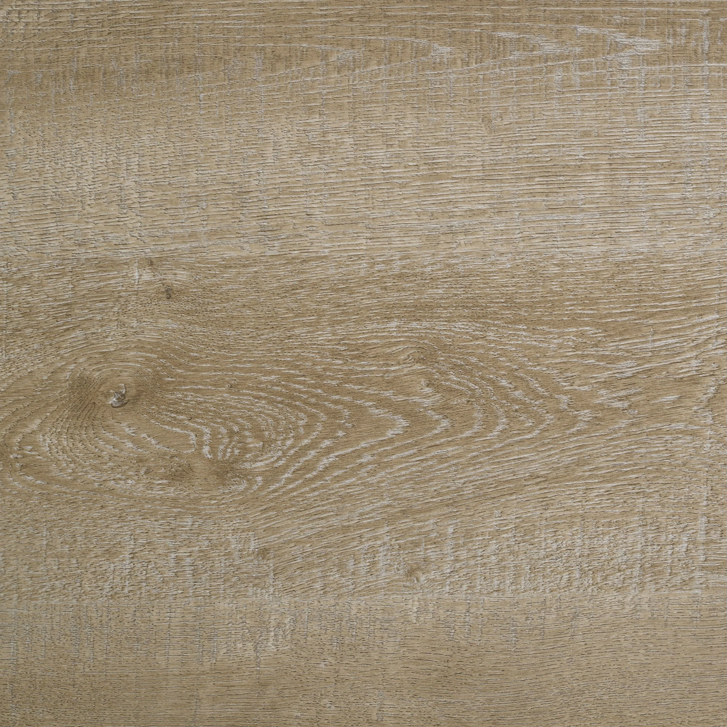 Thumbnail 22